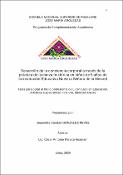 Imagen en miniatura